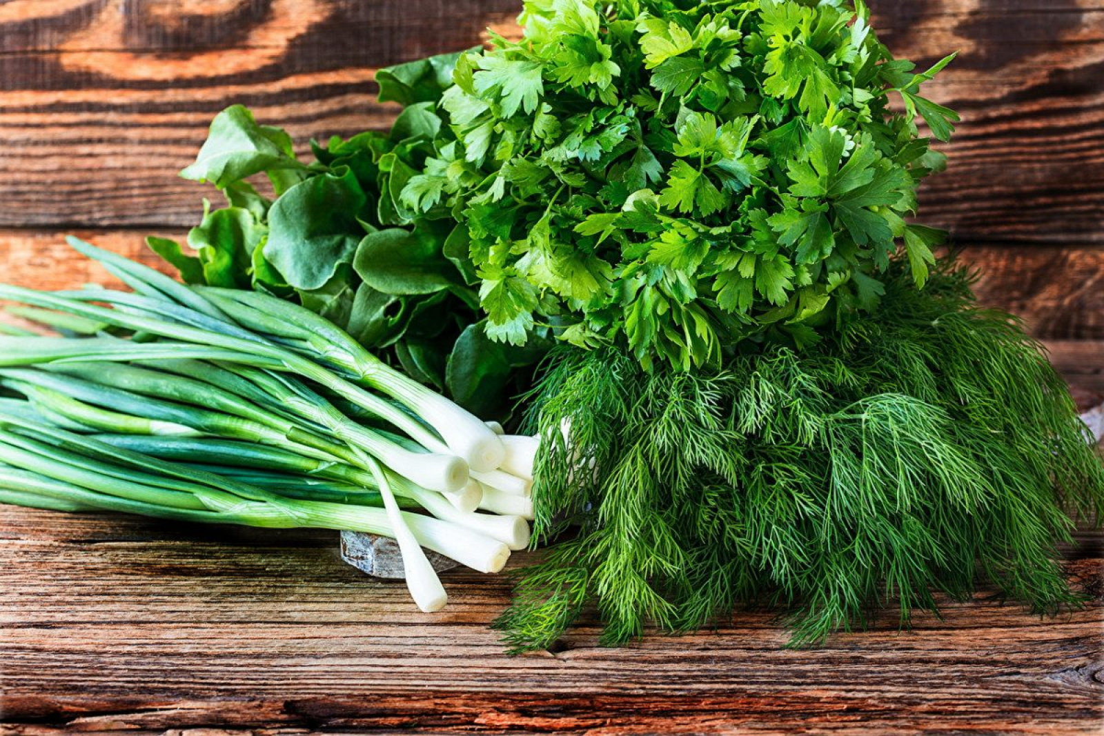ТОП-10: какие продукты нужно обязательно есть каждый день и почему