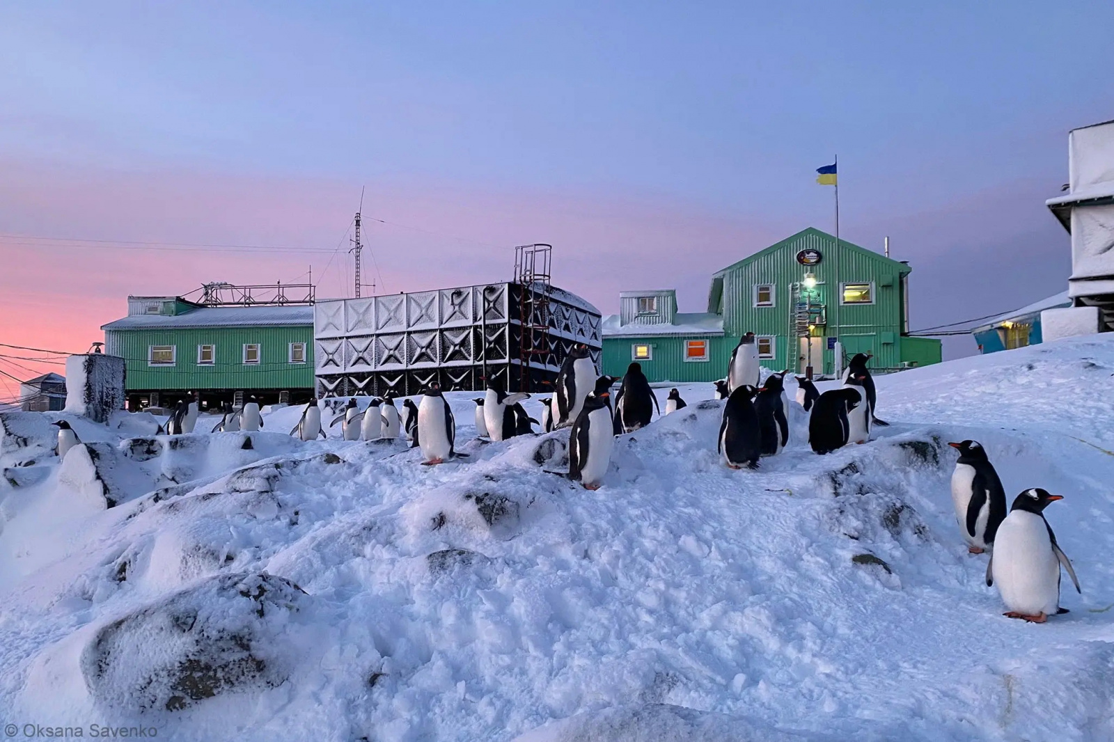Станции в антарктиде фото