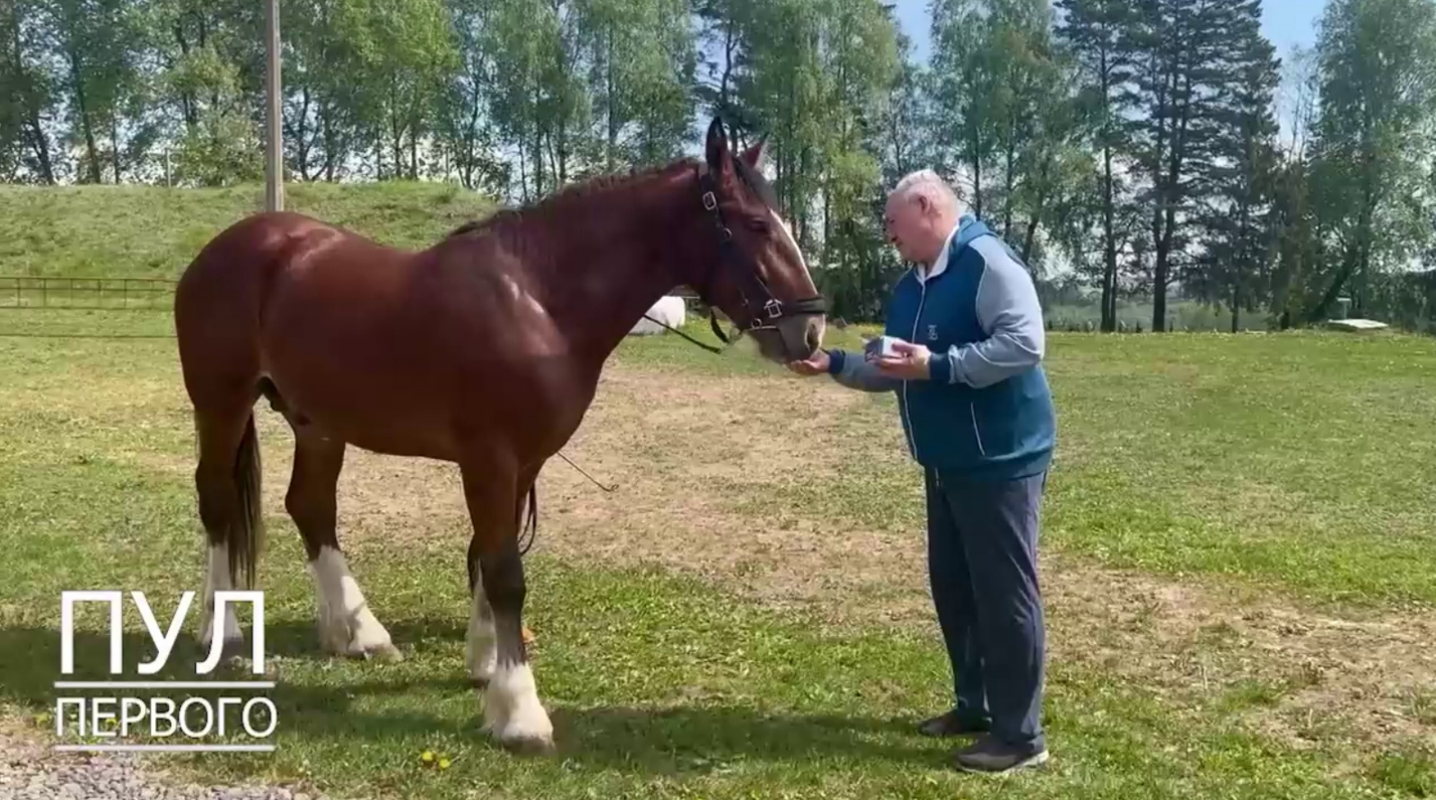 Кровати из владимирской обл