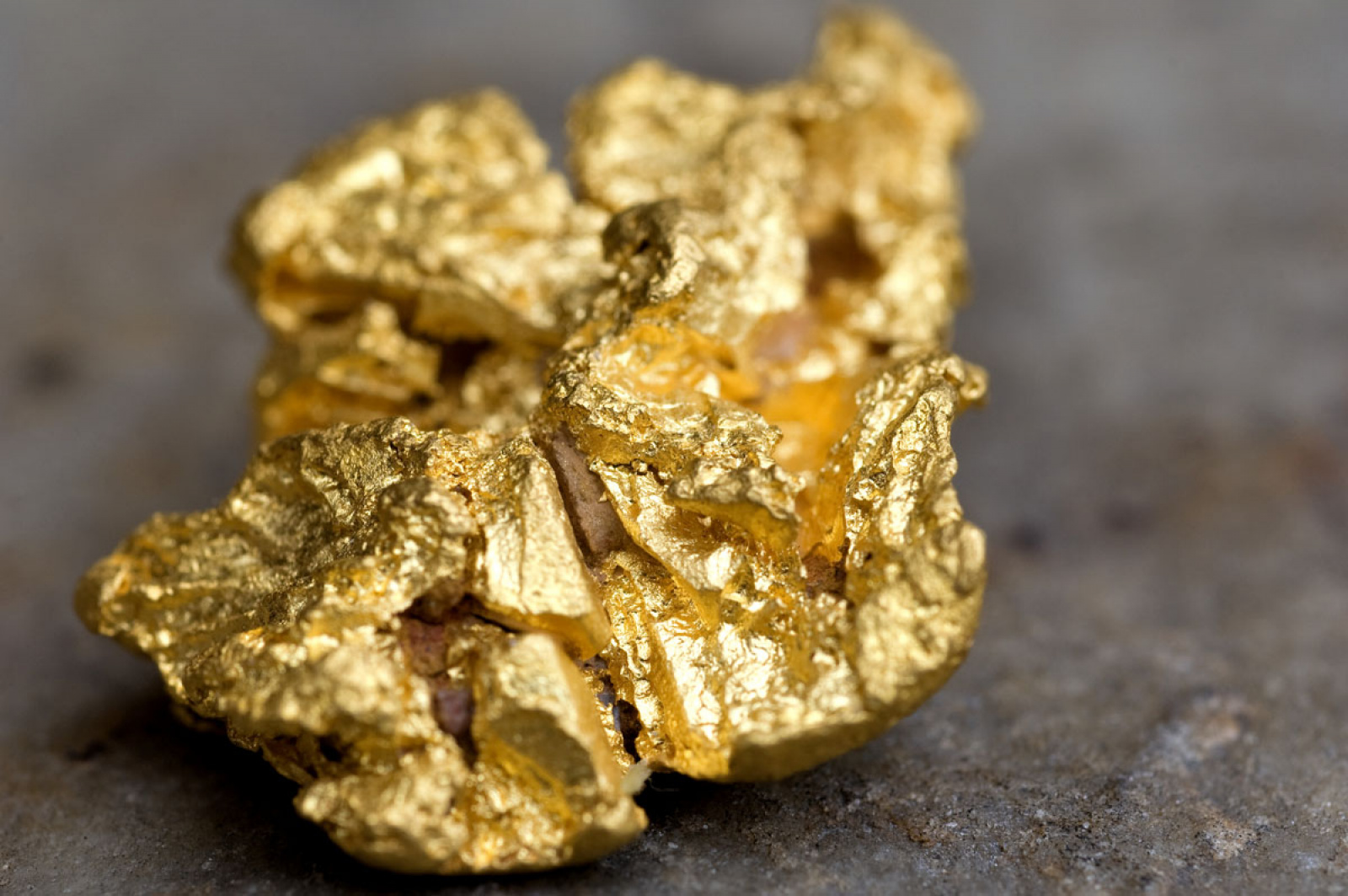Золото в 1861 1890 добывали в