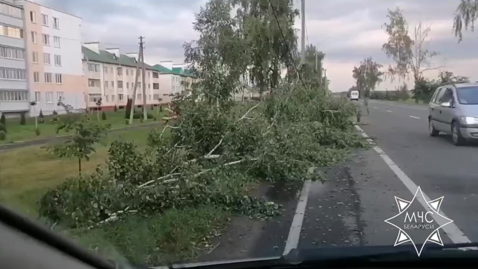 непогода в Могилевской области 17 августа 2025 года