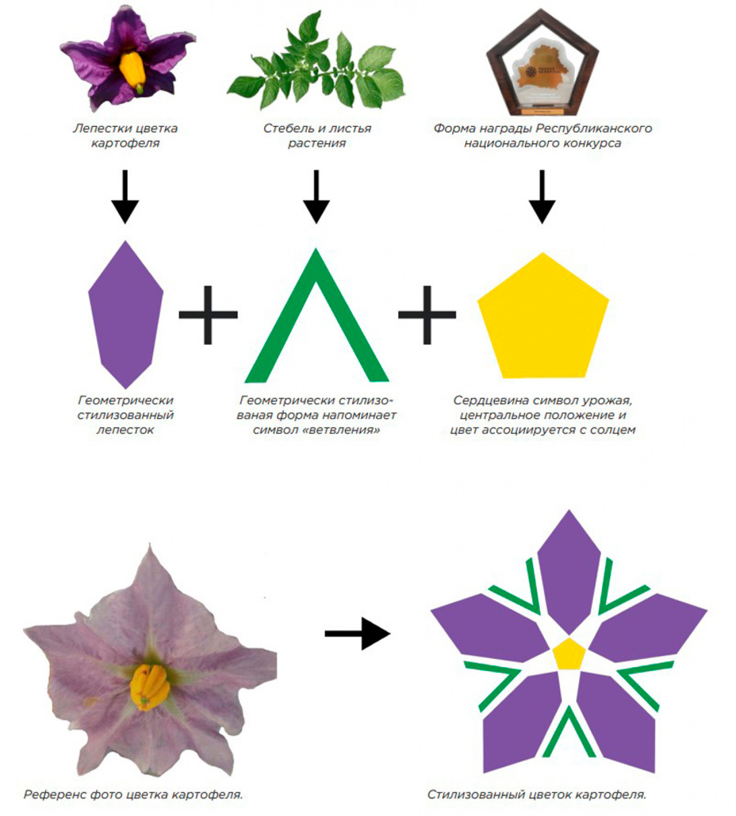 листок картофеля