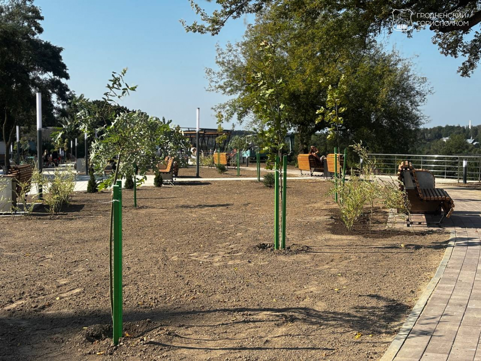 Сквер на улице Дарвина в Гродно
