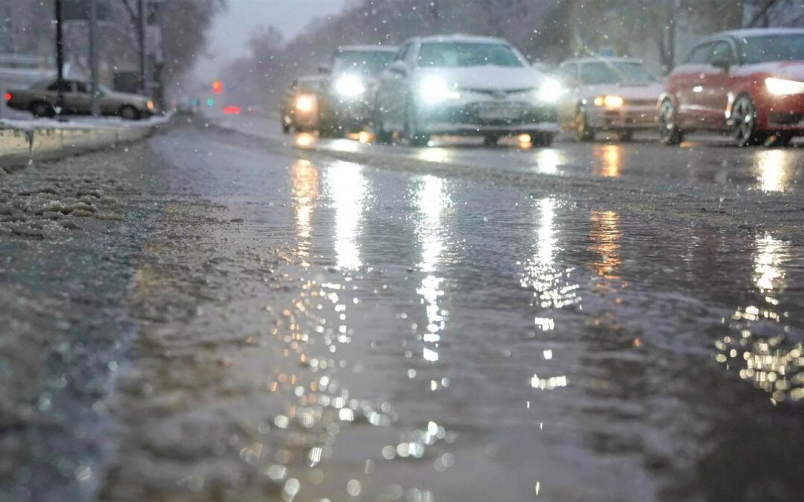 Гололедица / Источник: Брестский вестник