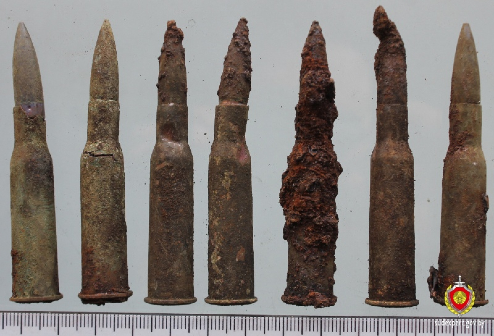 Фото: Государственный комитет судебных экспертиз по Гродненской области