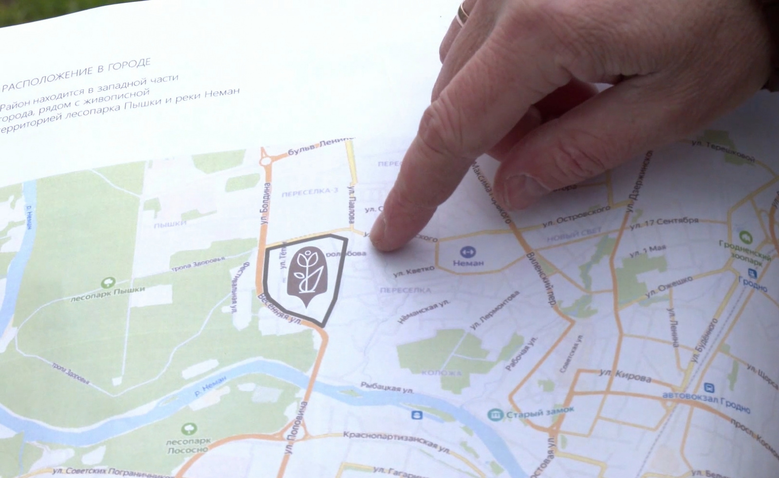 План реконструкция проспекта Строителей / Источник: t.me/trkgrodno