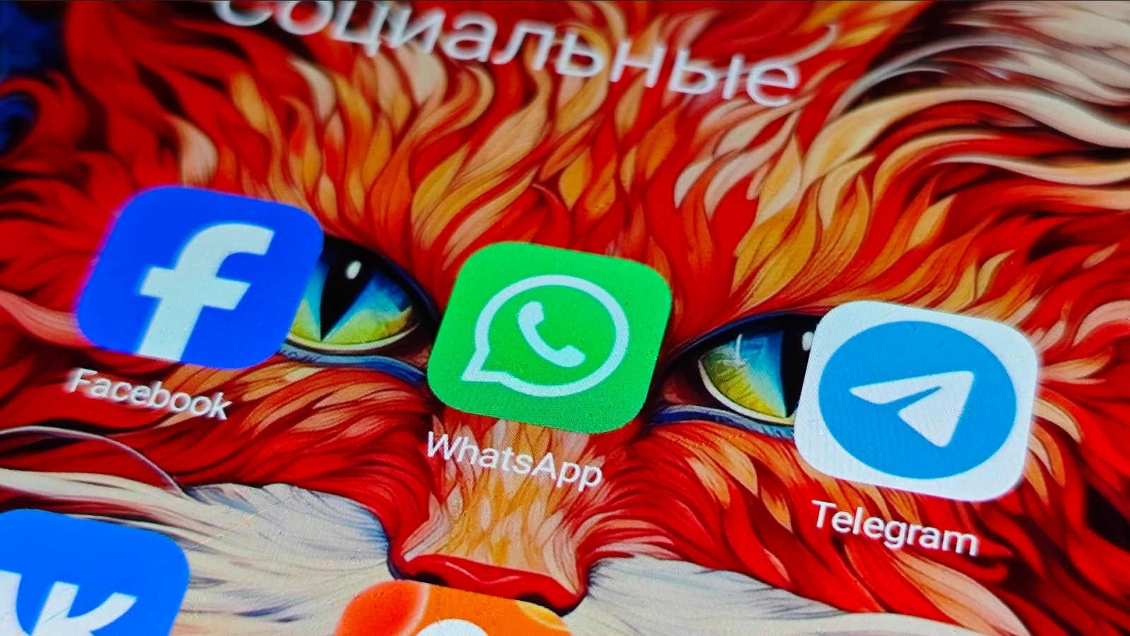 Мессенджер WhatsApp / Источник: grodno24.com