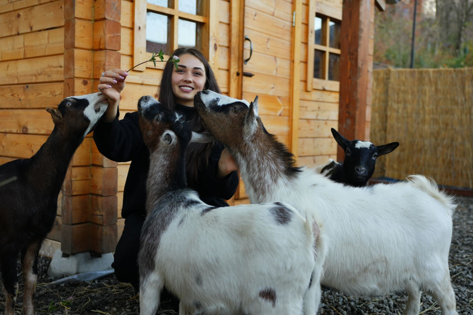 Курорт Красная Поляна