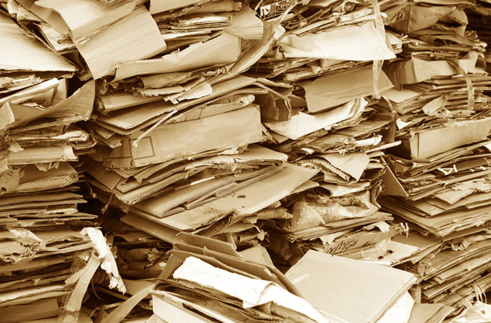 Сбор вторсырья в Беларуси