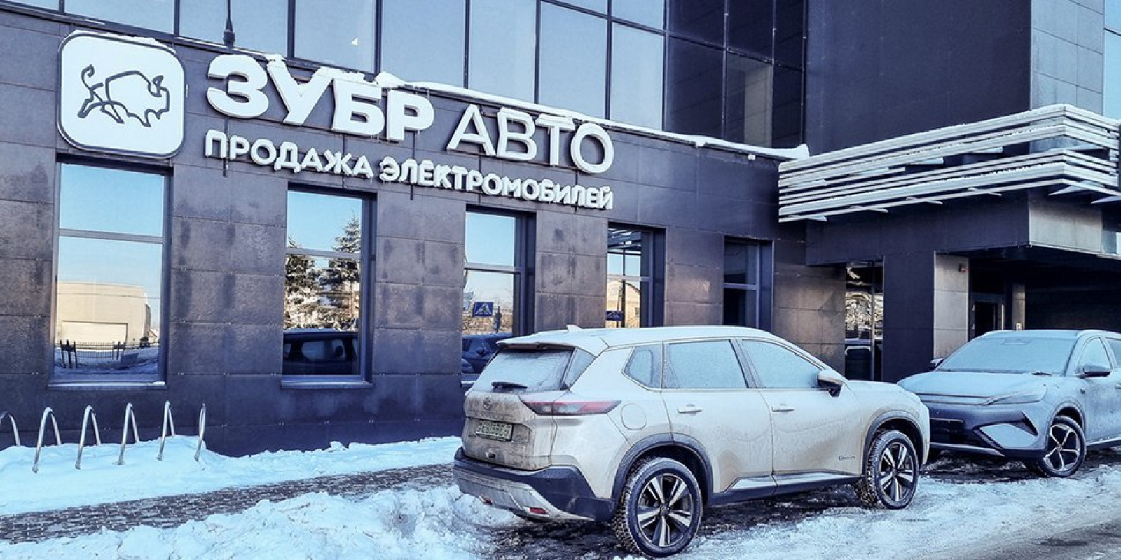 Зубр Автогрупп