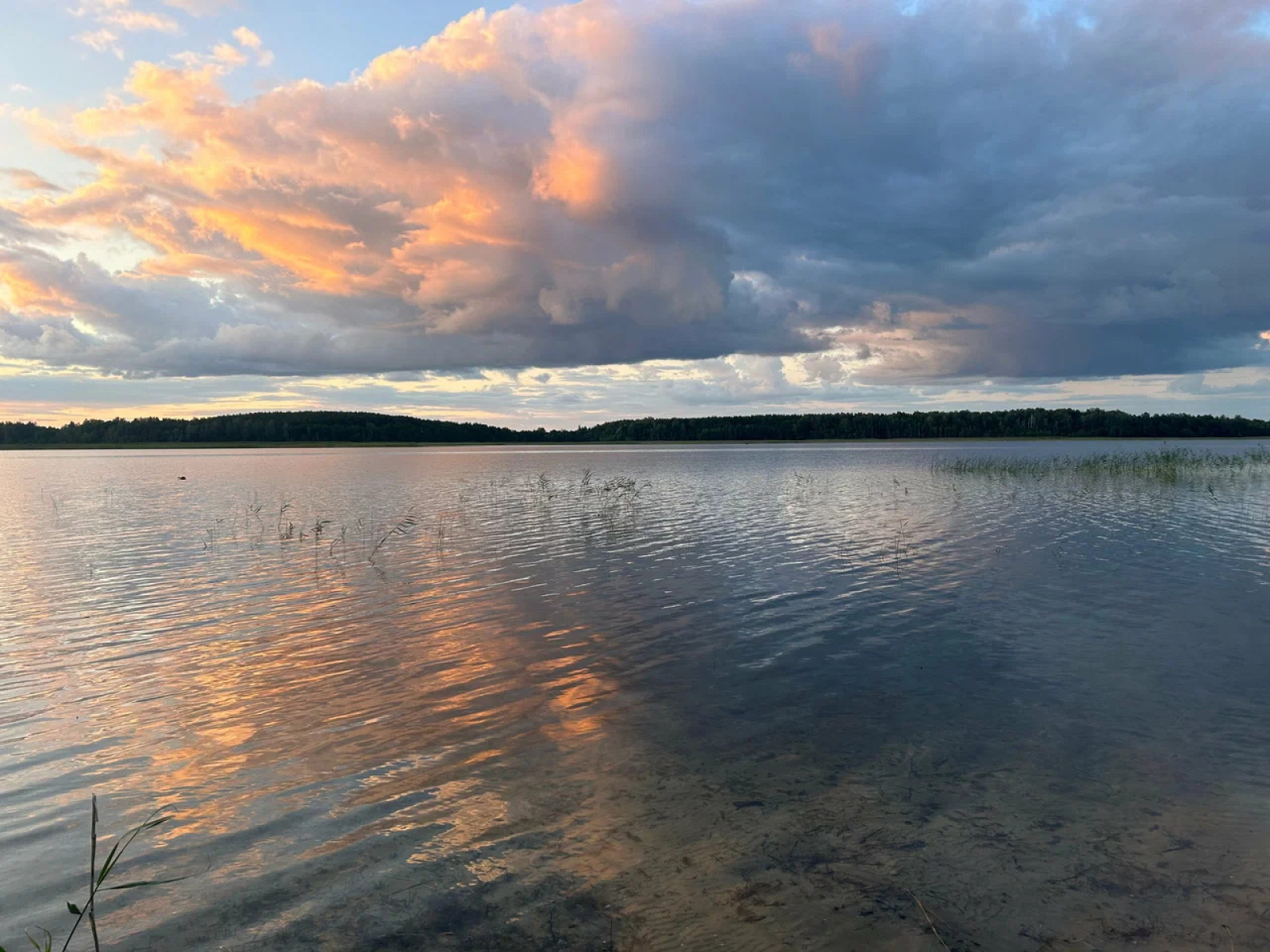 Браславские озера / Источник: grodno24.com