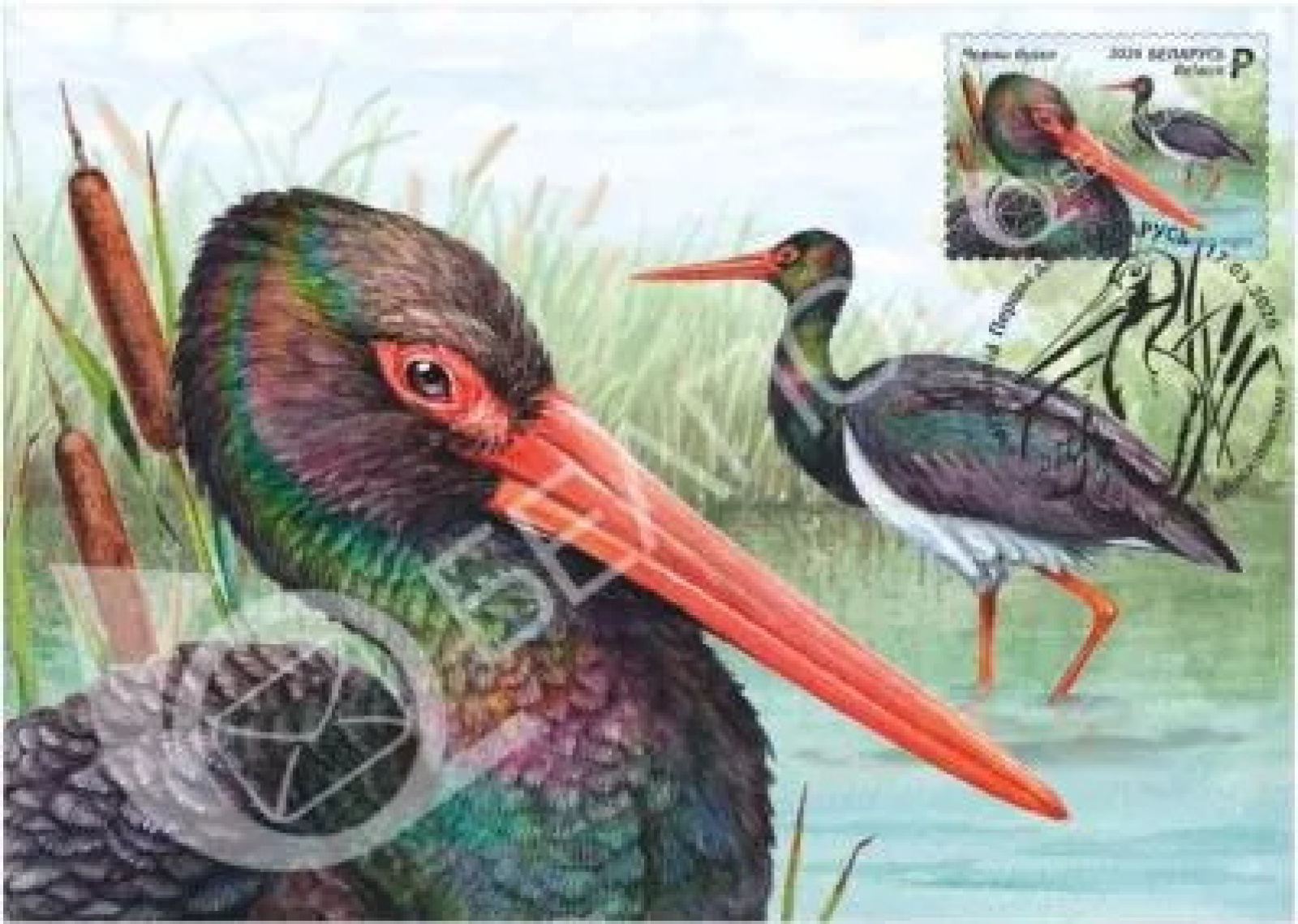 Марка Белпочта Чёрный аист
