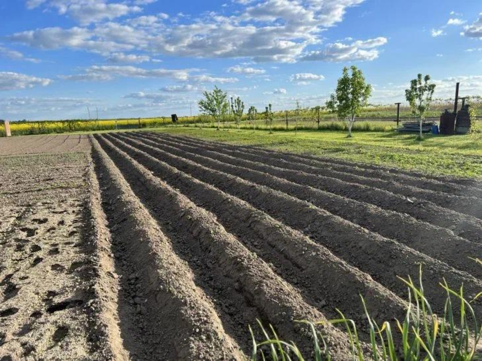 Работы на даче