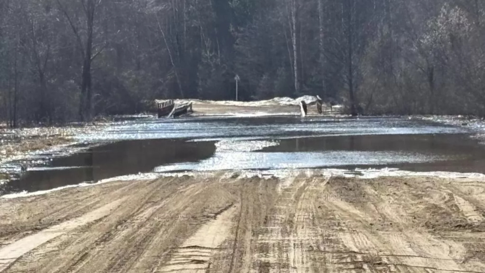 Подтоплена дорога в Могилевской области