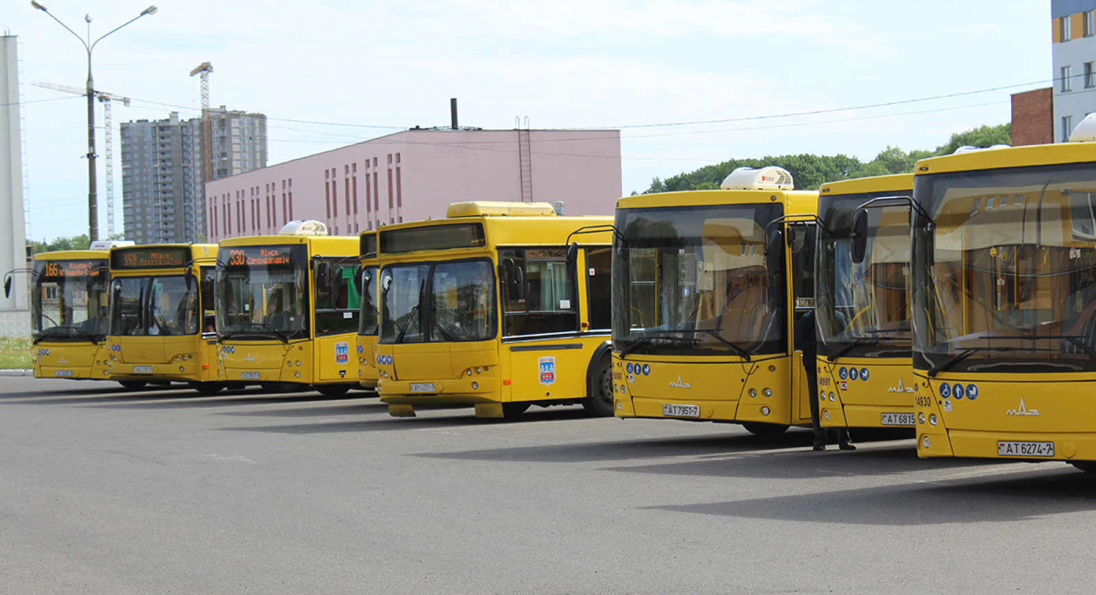 Автобусы МАЗ