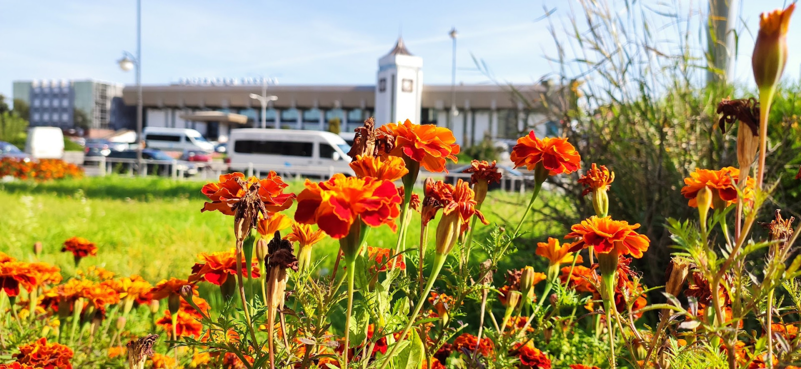 Майские выходные