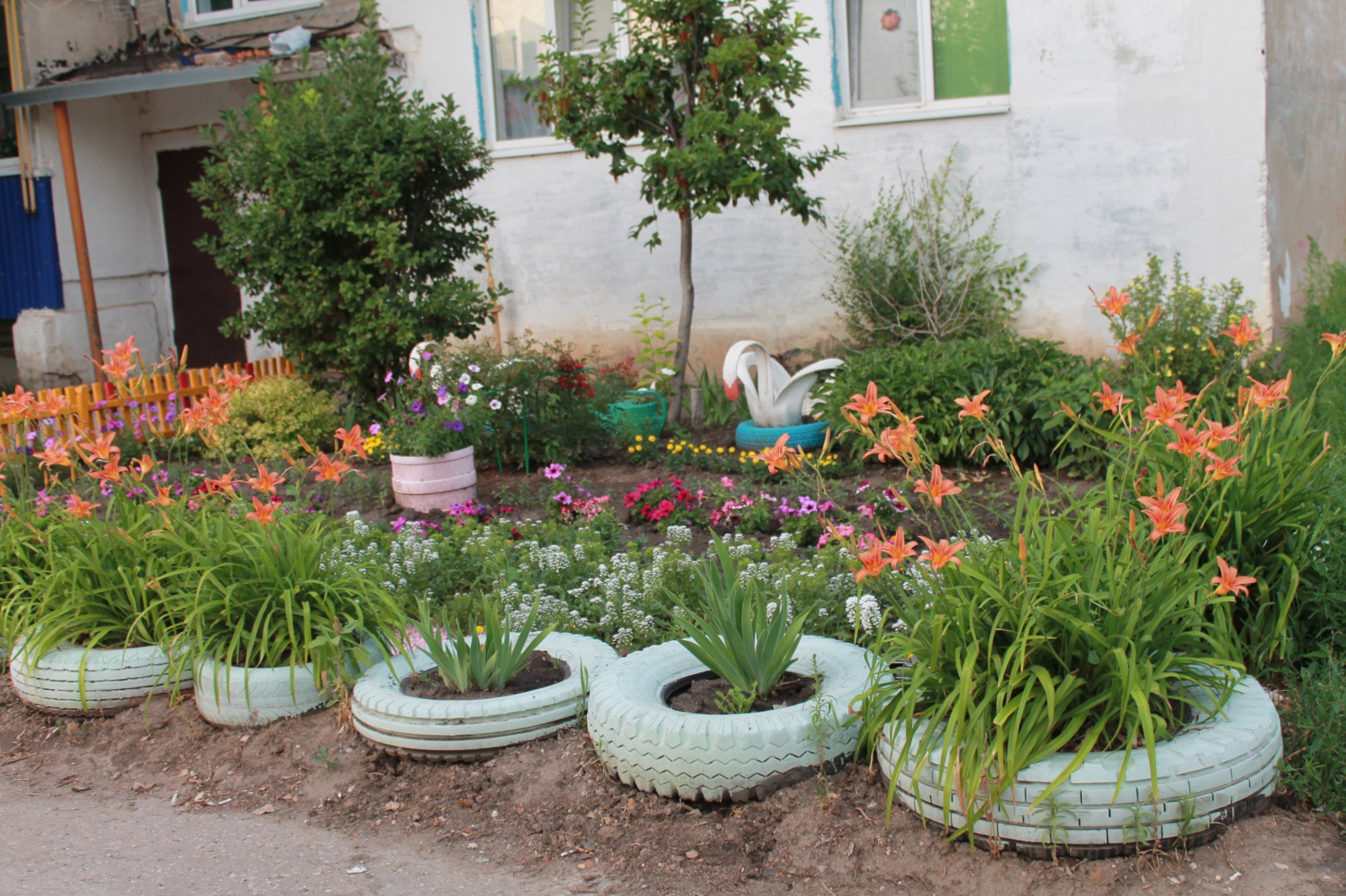 Клумбы около дома