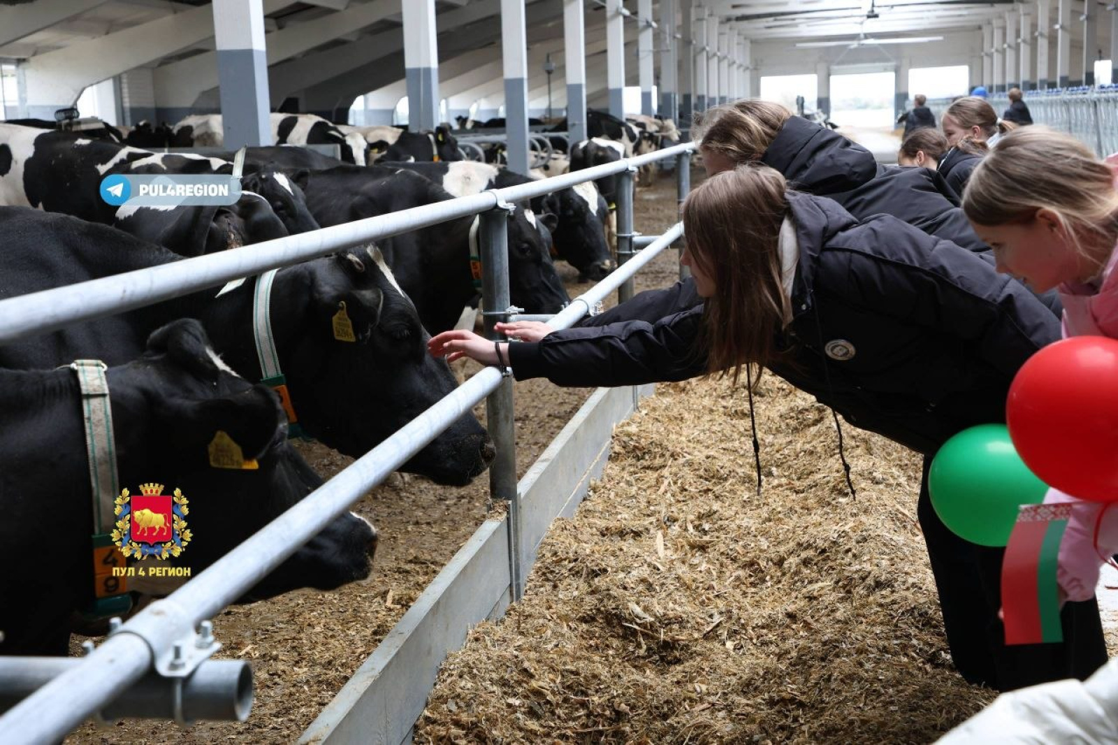 Молочно-товарный комплекс «Ханевичи»