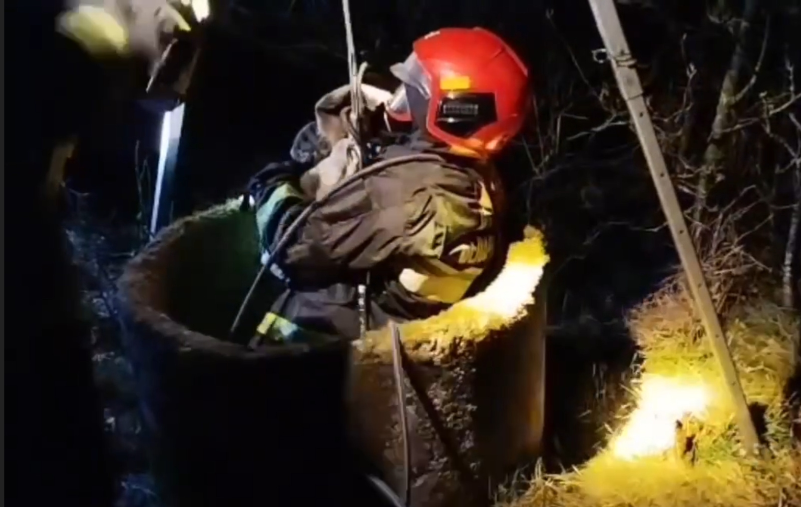 Спасли ягнёнка в Слонимском районе / Источник: МЧС Беларуси