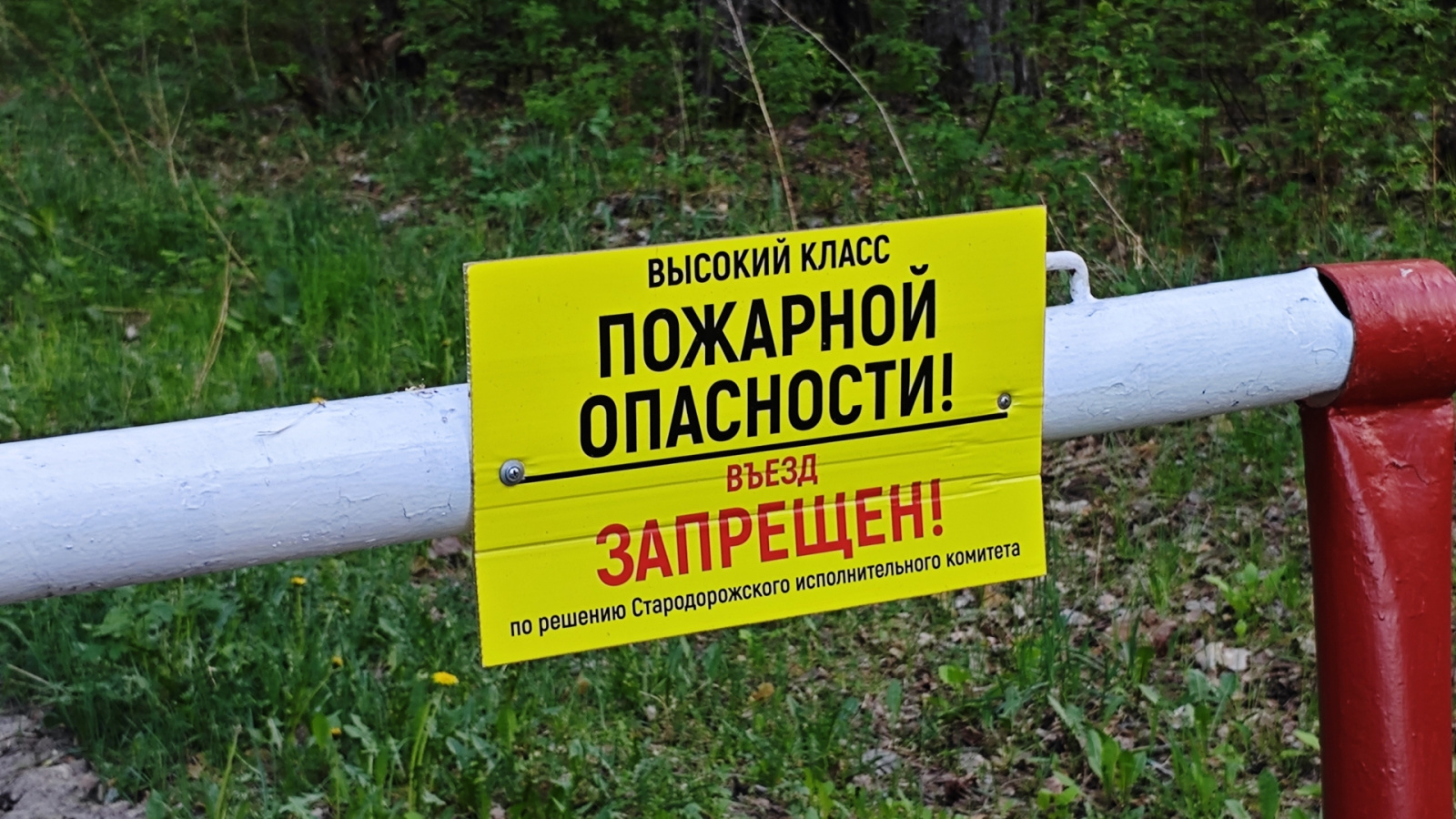 Запрет на посещение лесов