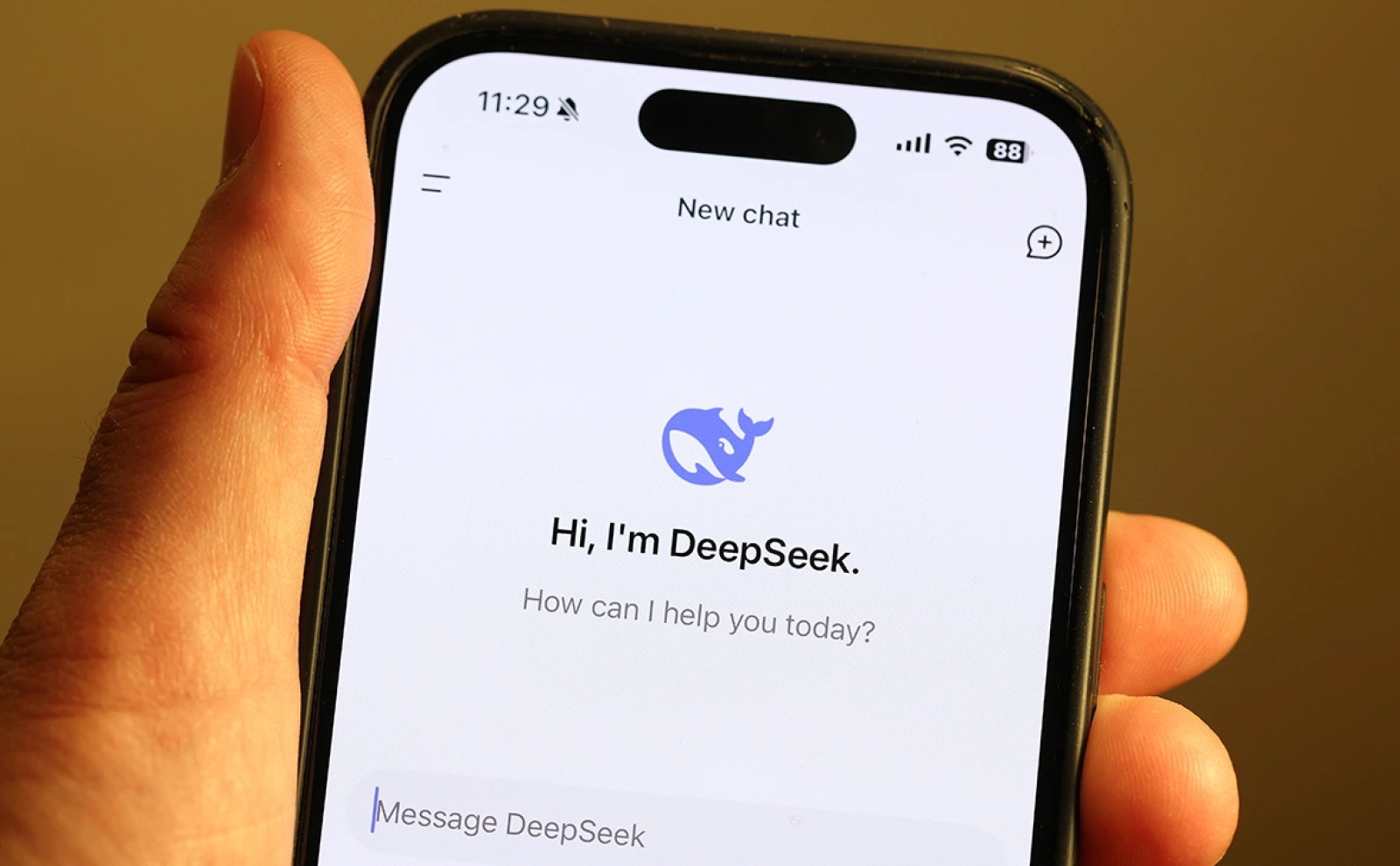 Искусственный интеллект DeepSeek 