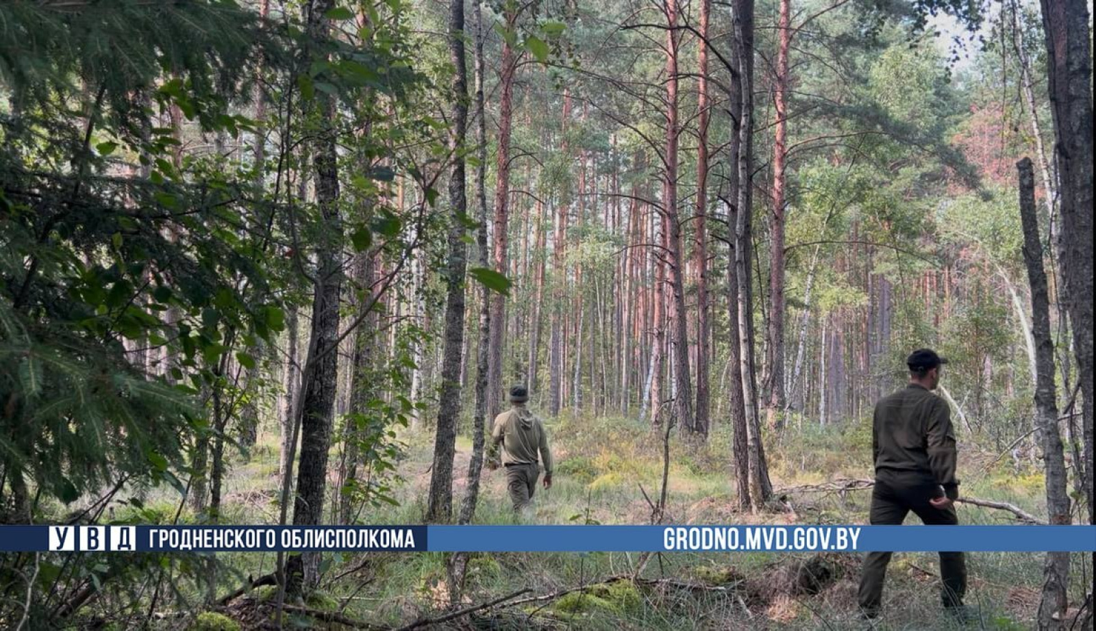 Поиски мужчины под Гродно / Источник: grodno24.com