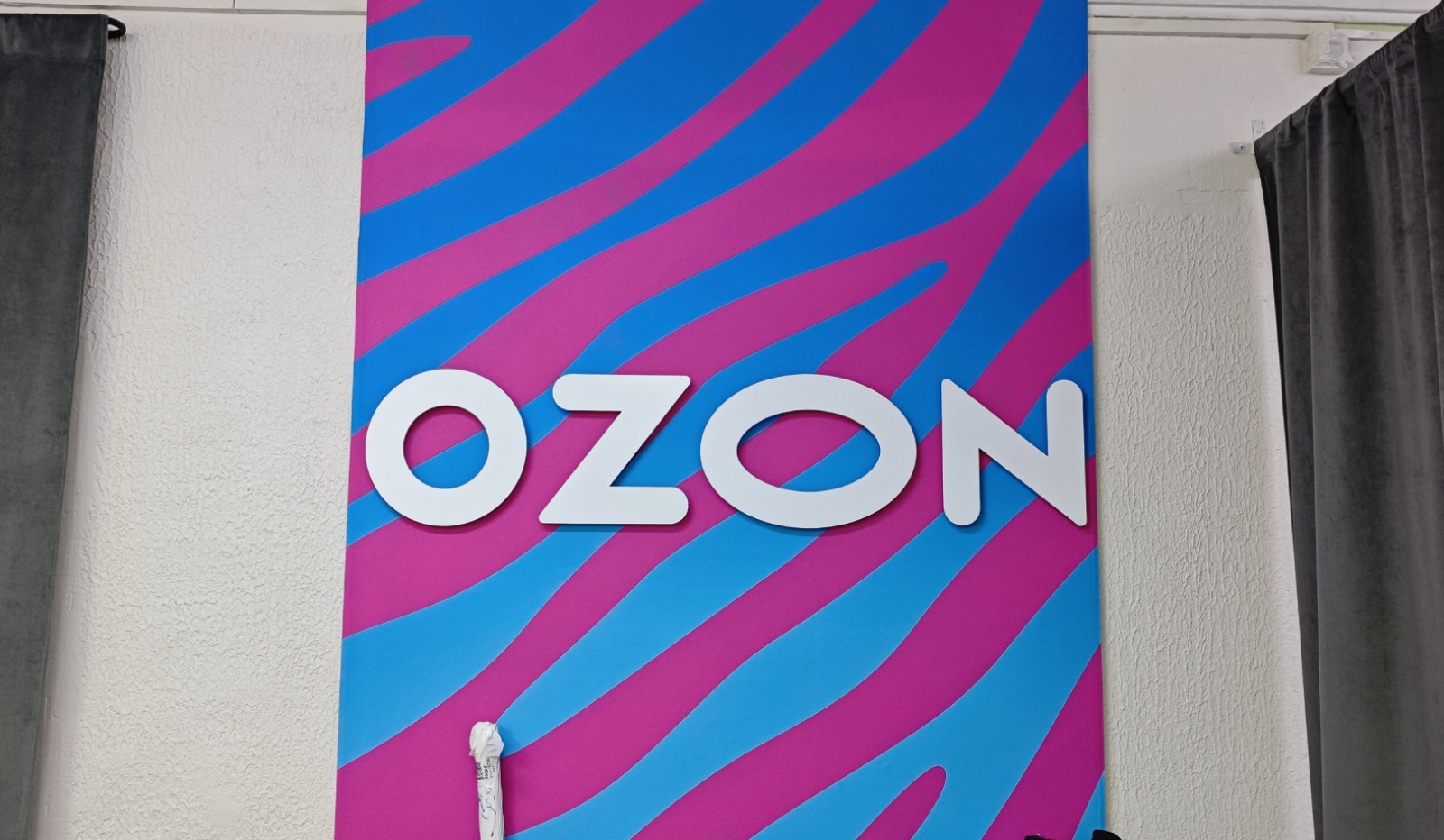 Маркетплейс Ozon / Источник: grodno24.com