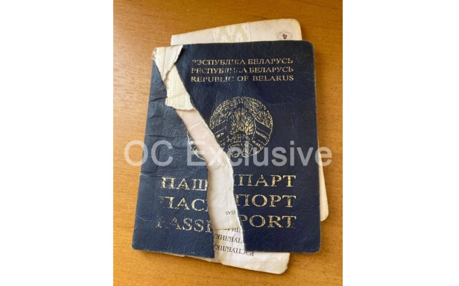 Девушка в Гродно порвала паспорт