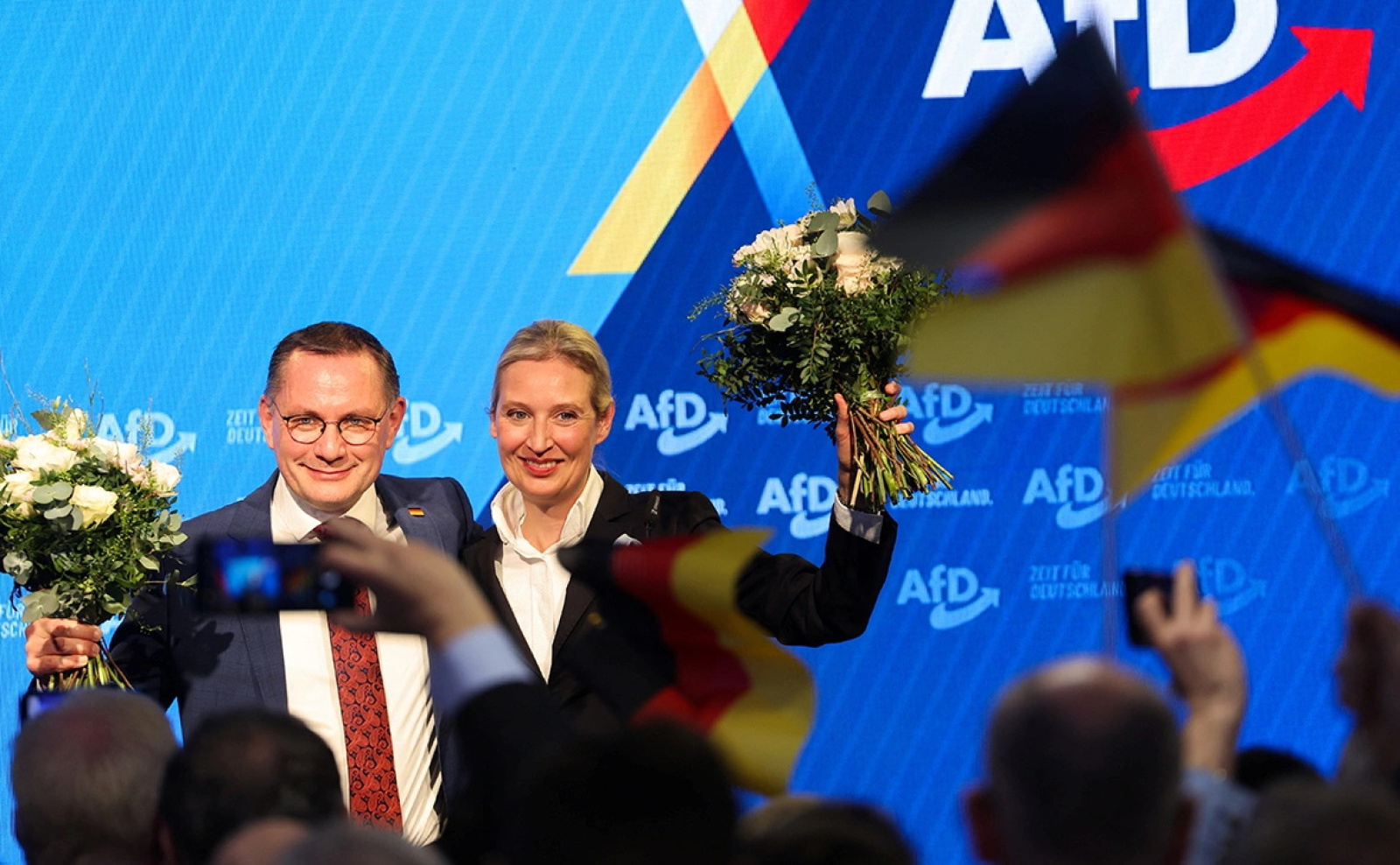 Партия «Альтернативы для Германии» (AfD)