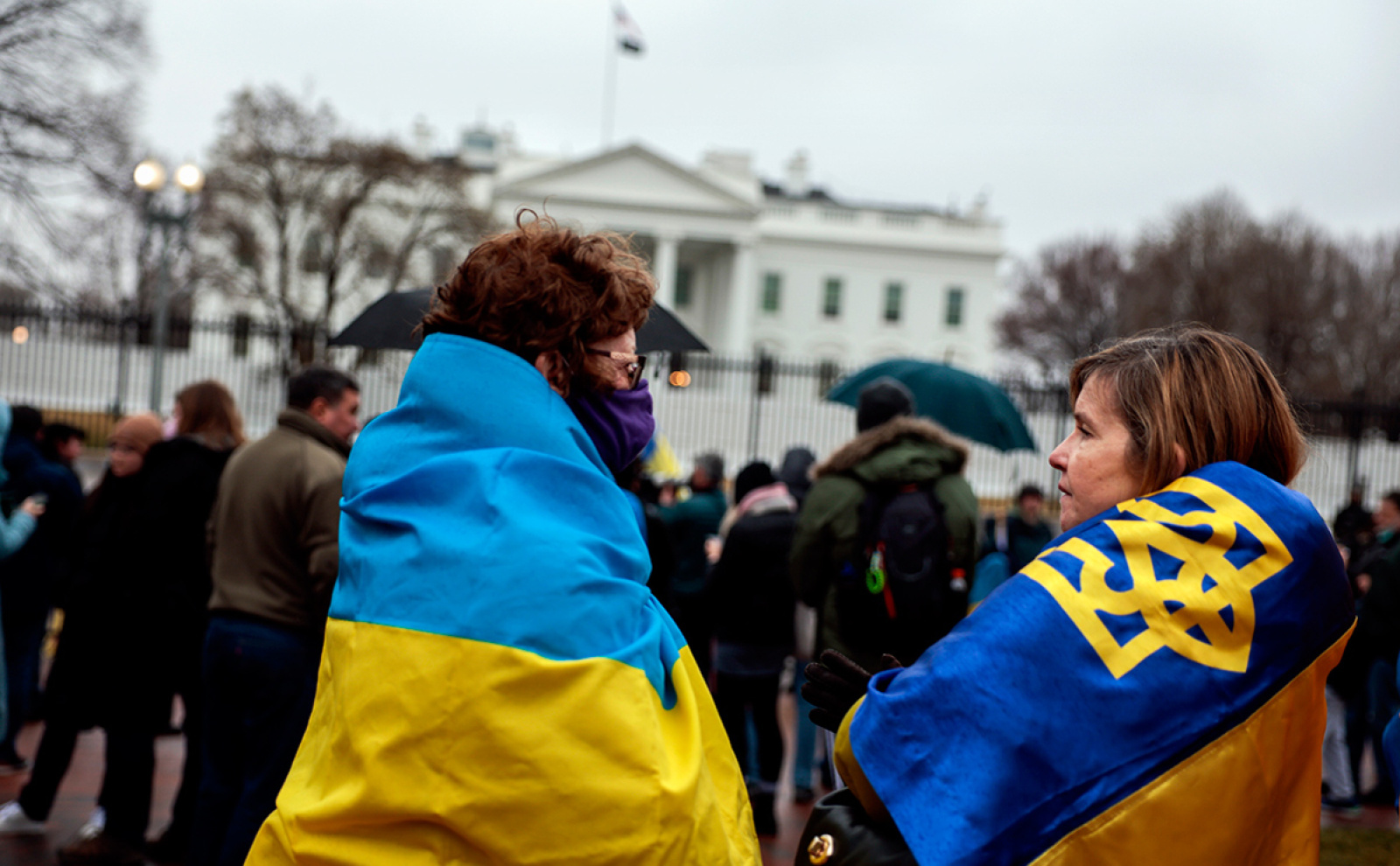 Украинские беженцы в США