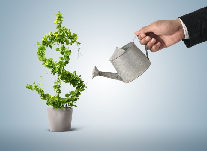 http://www.weltrade.ru/investors/